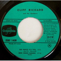 Gee Whizz It's You / Here Comes Summer / Theme For A Dream / I...