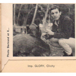 Des Filles Et Des Garçons