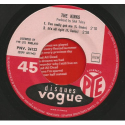 Have I The Right ? / Please Don't Pretend Again / You Really Got...