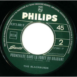 Noir C'est Noir / Promenade Dans La Foret Du Brabant