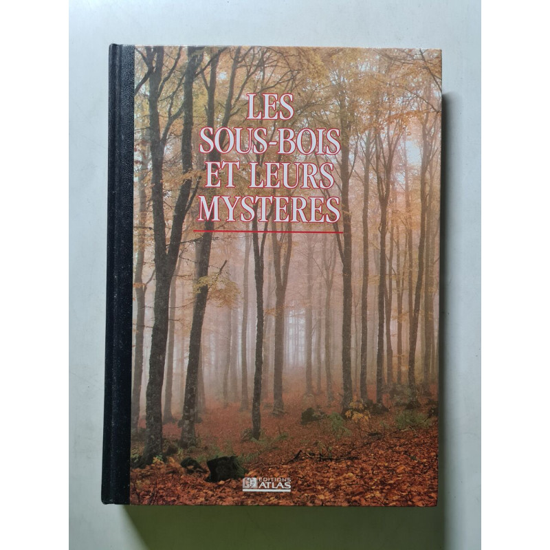 Les sous-bois et leurs mystères