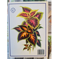 Plantes d'appartement