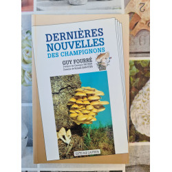 Dernières nouvelles des champignons