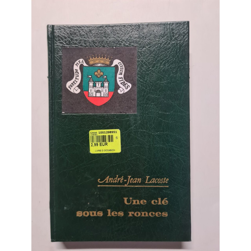 Une clé sous les ronces