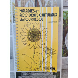 Maladies et accidents culturaux du tournesol