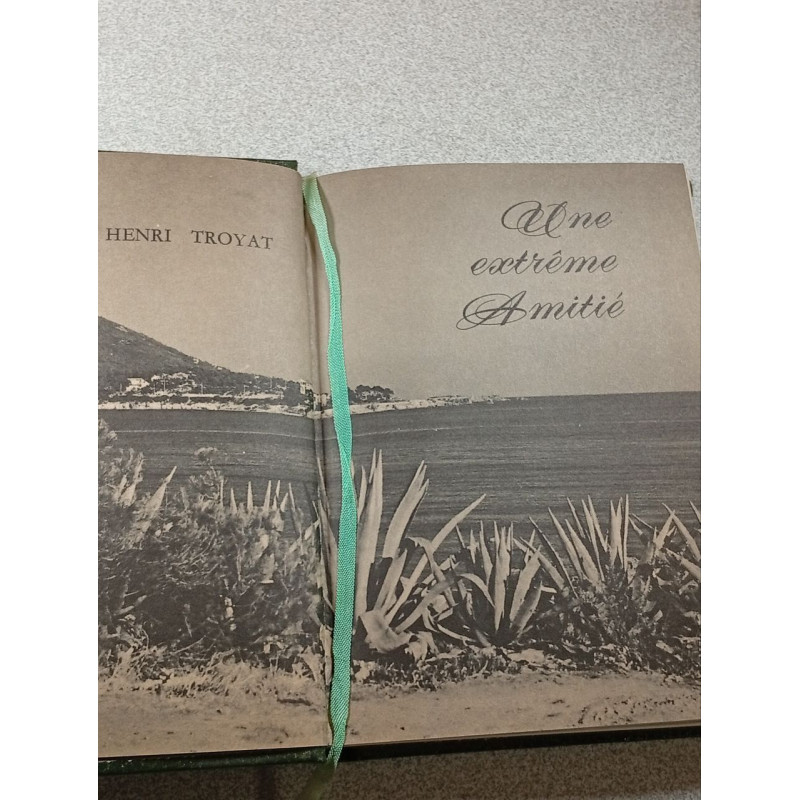 Une extrême Amitié