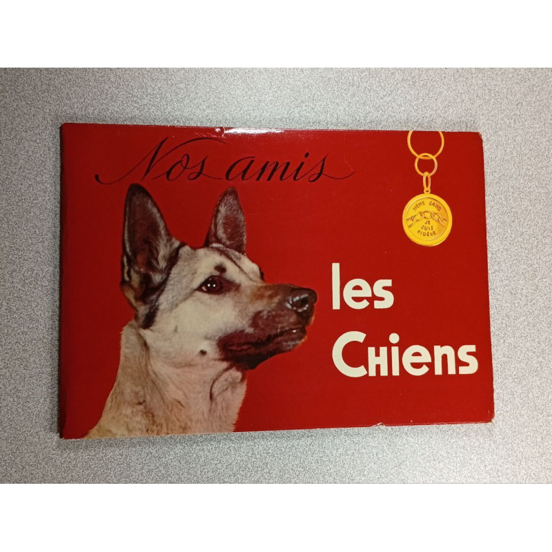 Nos amis les chiens
