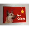 Nos amis les chiens