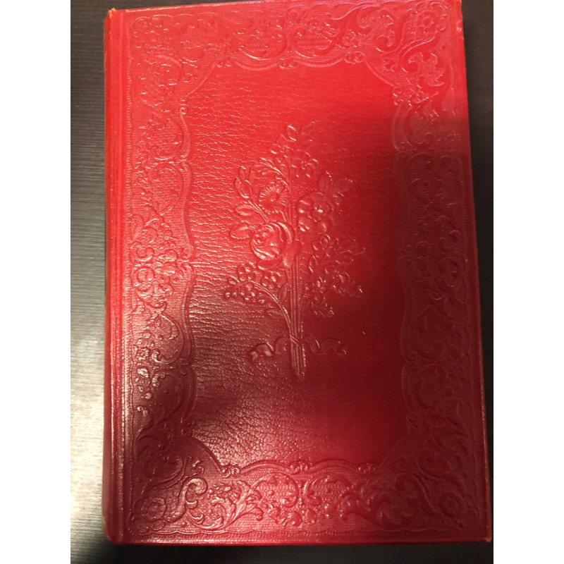 le rouge et le noir 1ere partie