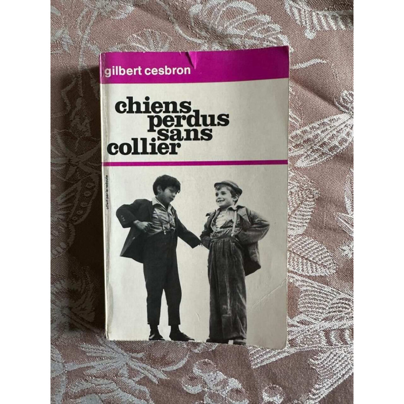 Chiens perdus sans collier