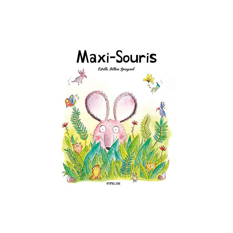 Maxi-souris