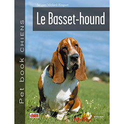 Basset hound