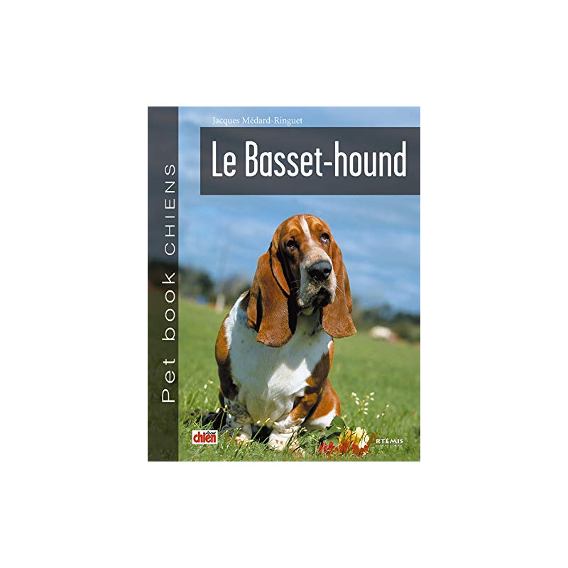 Basset hound