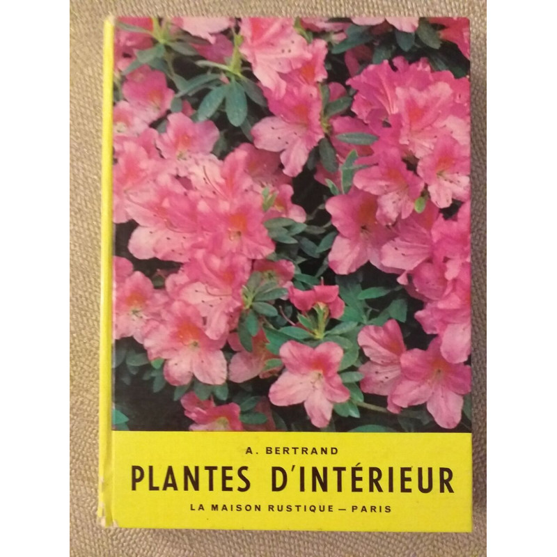 Plantes d'intérieur