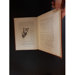 Histoire d'un trop bon chien