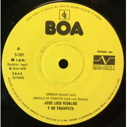 Granada En La Trompeta De Jose Luis Hidalgo
