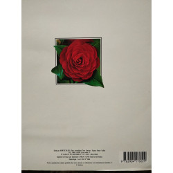 Les vegetaux d ornement en conteneurs 082493