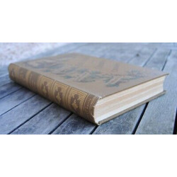 Paul Féval OEUVRES CHOISIES Cartonnage ENGEL T. 15-16 LES...