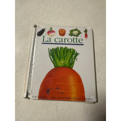 La carotte et le jardin potager