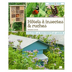 Hôtels à insectes et ruches : Cultiver la biodiversité au jardin