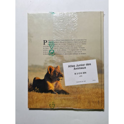 Un seigneur dans la savane le lion