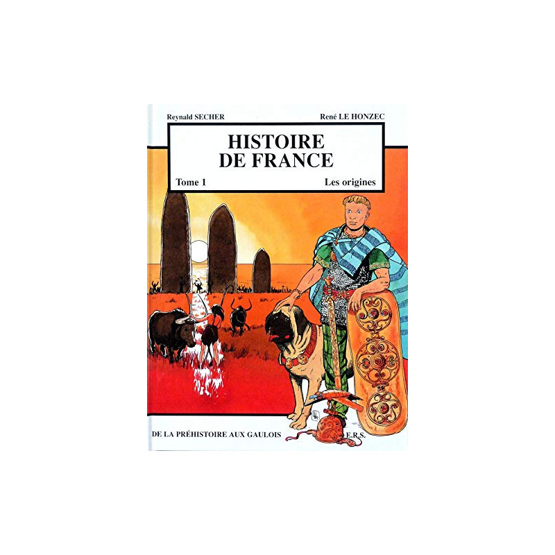 Histoire de France T1 Les origines - De la Préhistoire aux Gaulois