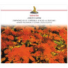 Haydn: Symphonies Nos. 53 et 63