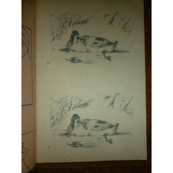 Cahier vierge Le dessin au crayon 12 modèles variés m f Paris