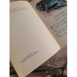 Anne et le roi des chats