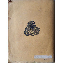 Les enfants terribles