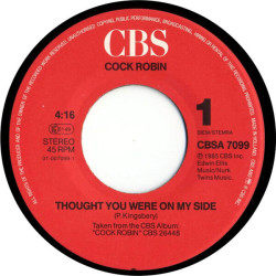 Thought You Were On My Side