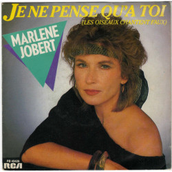 Je Ne Pense Qu'à Toi (Les Oiseaux Chantent Faux)