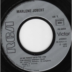 Je Ne Pense Qu'à Toi (Les Oiseaux Chantent Faux)