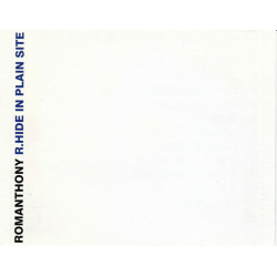 R.Hide In Plain Site