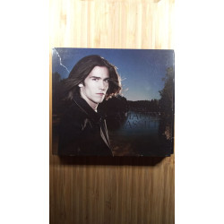 Amaury vassili vincero