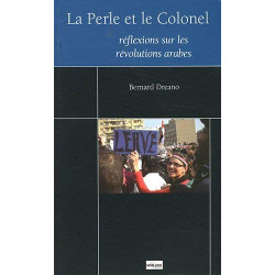 La Perle et le Colonel : Réflexions sur le printemps arabe : Suivi...