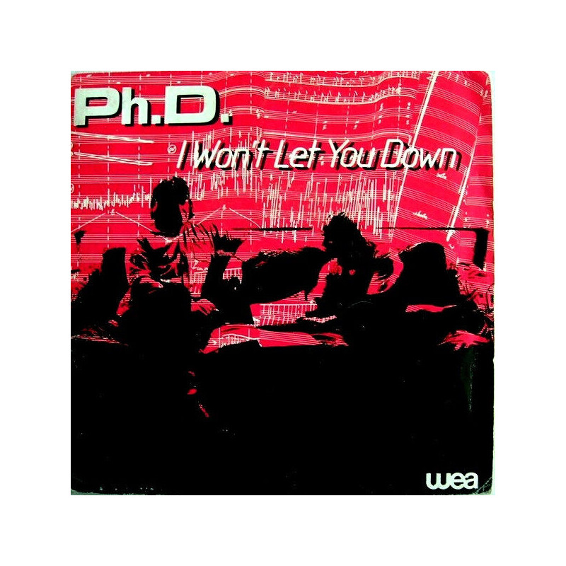 I Won't Let You Down