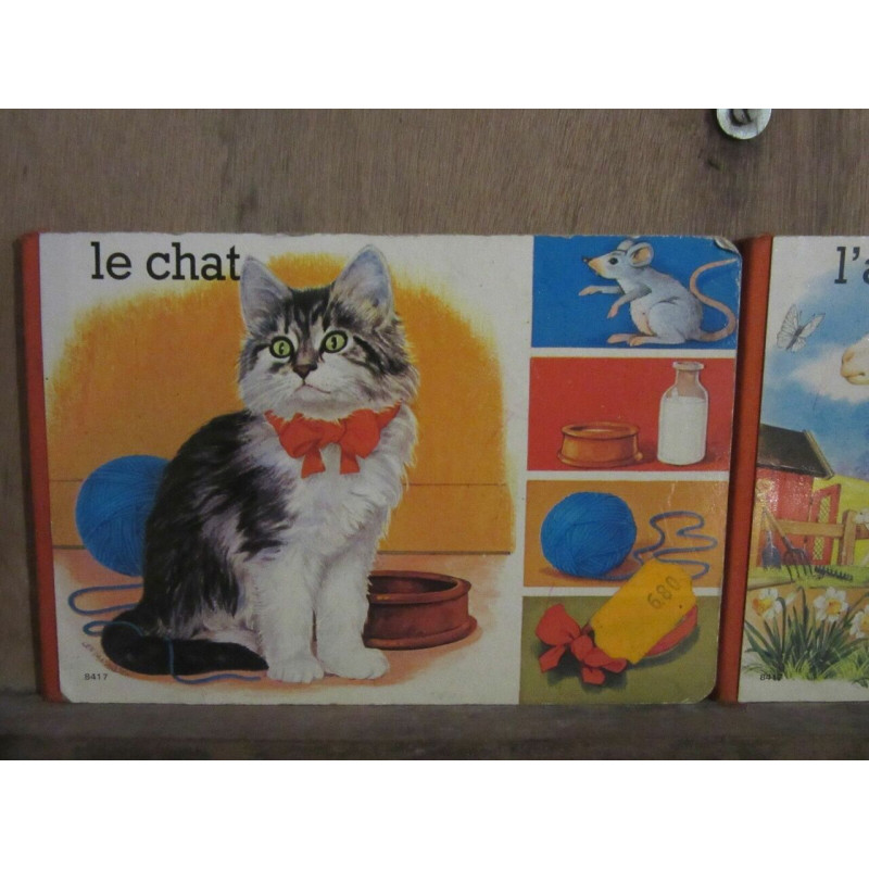 Le chat Interco Paris