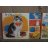 Le chat Interco Paris