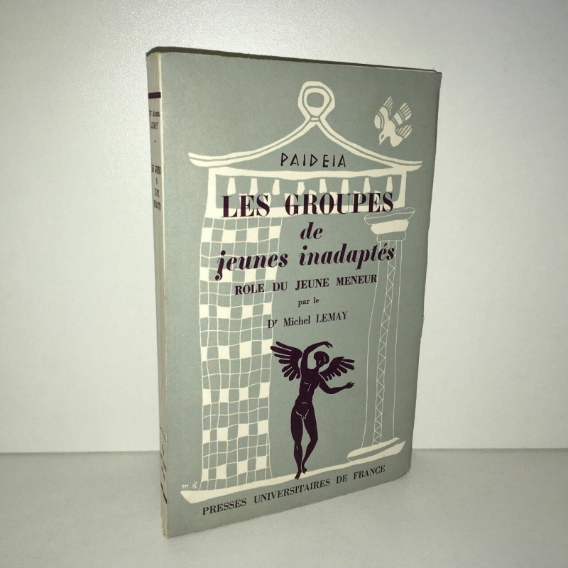LES GROUPES DE JEUNES inadaptes ROLE DU JEUNE MENEUR