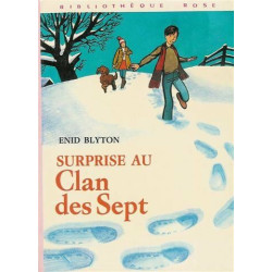 Surprise au clan des sept