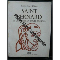 Saint Bernard Le Chevalier En Coule Blanche