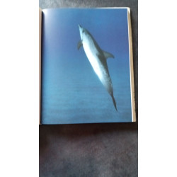 Le monde des dauphins