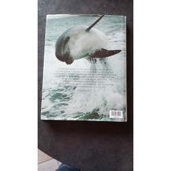 Le monde des dauphins