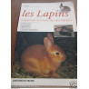 les lapins le lapin nain et les autres races de compagnie
