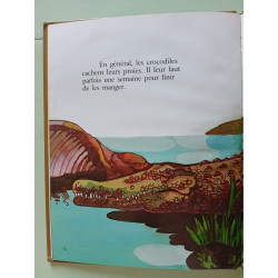 Le Crocodile