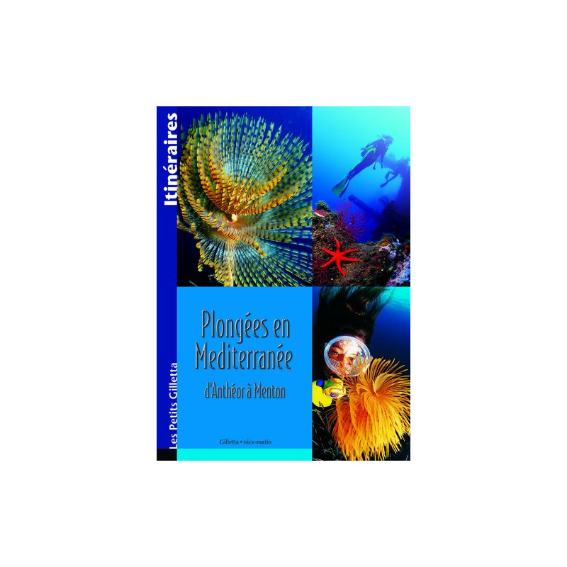 Plongées en Méditerranée : Côte d'Azur