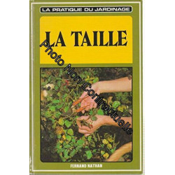La taille