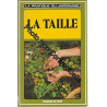 La taille