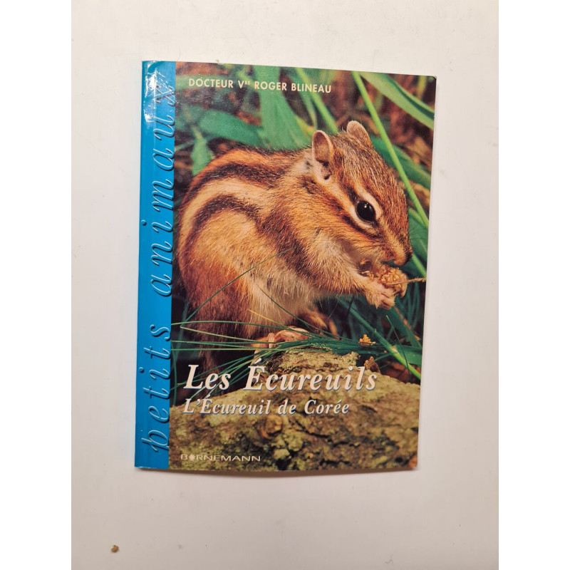 Les Ecureuils L'ecureuil De Coree